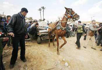 in Gaza