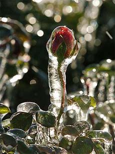 r&ecirc;ve de l'&eacute;galit&eacute;