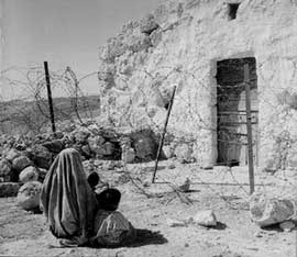 occupied Territories