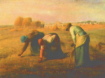 Millet