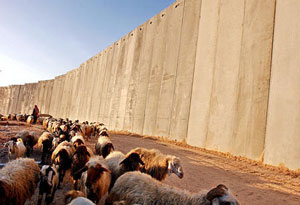 mur de s&eacute;paration