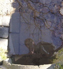 combat int&eacute;rieur