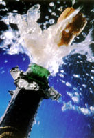 La f&ecirc;te se fit sans tarder