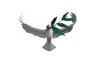 peacedove