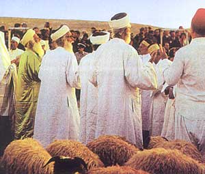 En quo t'ai-je fatigu&eacute;?