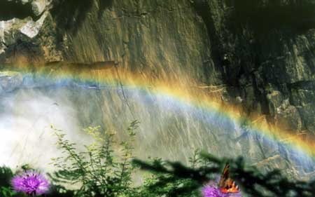 d&eacute;fenser l'environnement