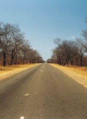 chemin dans la foi