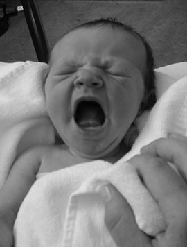 premier enfant