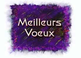 meilleurs voeux