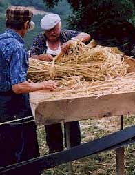 la moisson