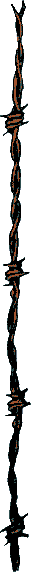 barbel&eacute;