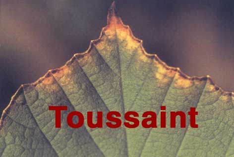 L'impression